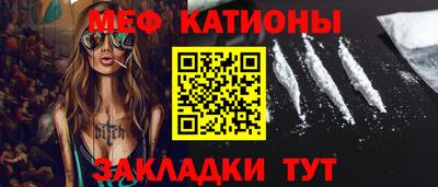 индика Камышлов