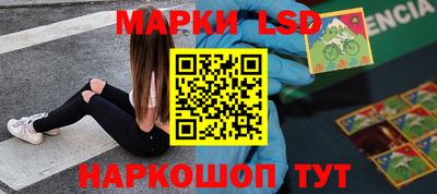 индика Камышлов
