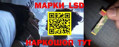 индика Камышлов