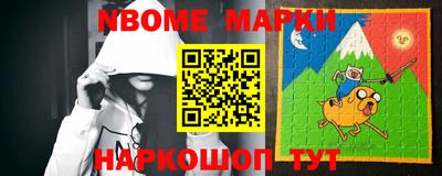 индика Камышлов