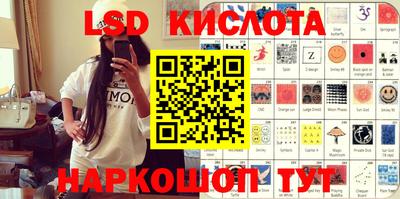 индика Камышлов