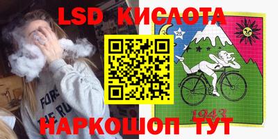 индика Камышлов