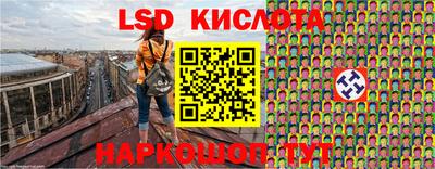 индика Камышлов