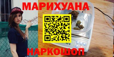 индика Камышлов