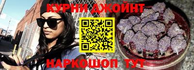 индика Камышлов