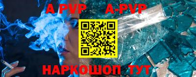 индика Камышлов