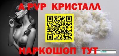 индика Камышлов